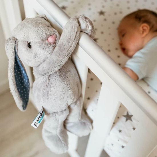 Szumiący Króliś Felek, 0+, Whisbear