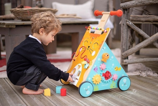 Wielofunkcyjny pchacz edukacyjny Kot, 12 m+, Janod